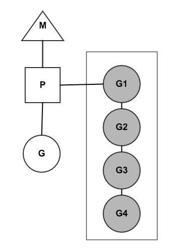 GolangCSP3